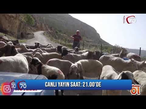 Atilla Zorlu Canlı yayında